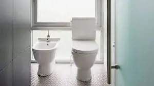 Bidet4[1]-1444317-72515.webp
